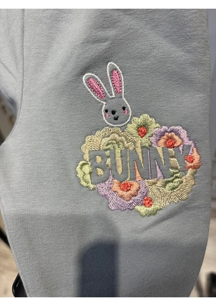 Kız Çocuk Içi Şardonlu Tayt 1-4 Yaş fırsatları