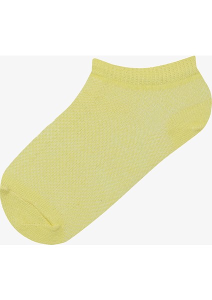 Kız Çocuk Basic Colorful 4lü Patik Çorap