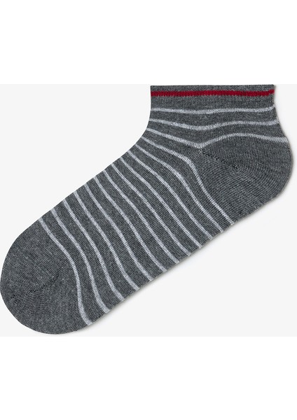 Erkek Grey Line Çizgili 5'li Patik Çorap