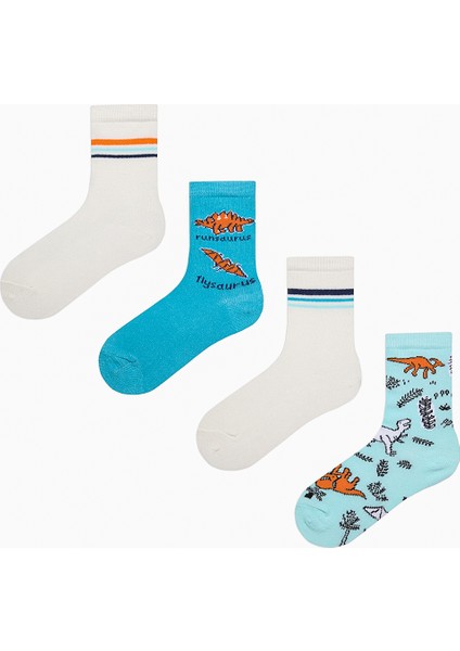 Erkek Çocuk Mesozoic Era Çok Renkli 4lü Soket Çorap