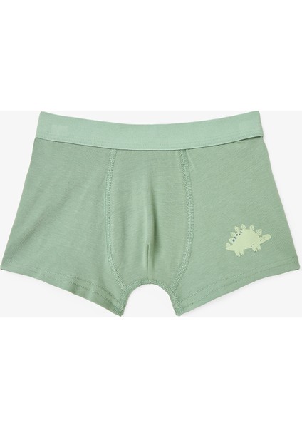 Erkek Çocuk Contour Dino Dinozor Desenli 3'lü Boxer