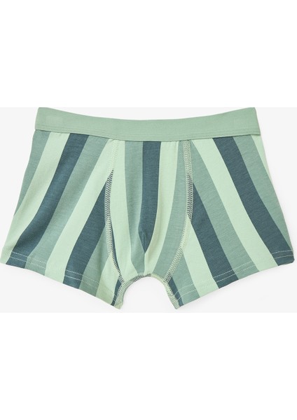 Erkek Çocuk Contour Dino Dinozor Desenli 3'lü Boxer