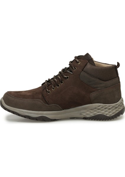 Thorıum 3pr Kahverengi Erkek Bot