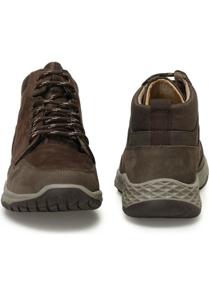 Thorıum 3pr Kahverengi Erkek Bot