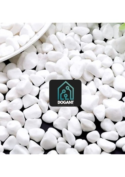 Karadeniz Dere Çakıl Saksı Peyzaj Bahçe Akvaryum Beyaz 2 kg Taş fiyatları