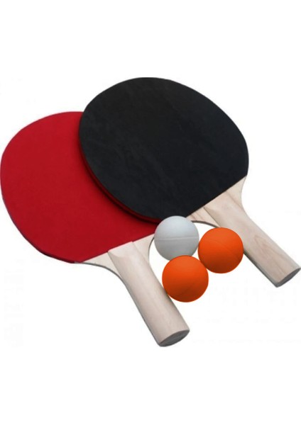 Masa Tenisi Pinpon Raket Seti (5263)
