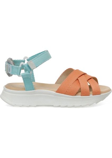 323603.Z 4fx Nar Çiçeği Kadın Kalın Taban Sandalet