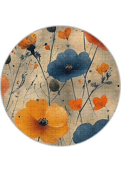 , Makinede Yıkanabilir, Kaymaz Taban, Dijital Baskı, Çok Renkli, Salon Halısı, Oturma Odası Halısı, Mutfak Halısı ve Yolluk fiyatları