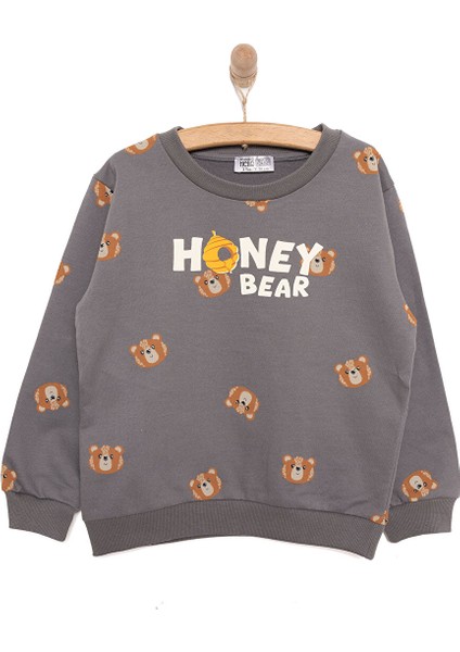 Basic Az Şardonlu Honey Bear Desenli Sweatshirt Erkek Bebek modelleri