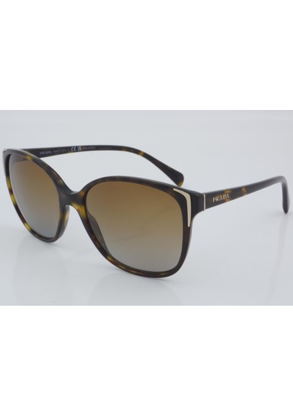 Spr 01O 2AU-6E1 55 - 01 Güneş Gözlüğü fiyatları