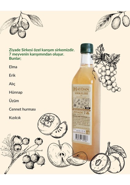 Ziyade Sirkesi modelleri