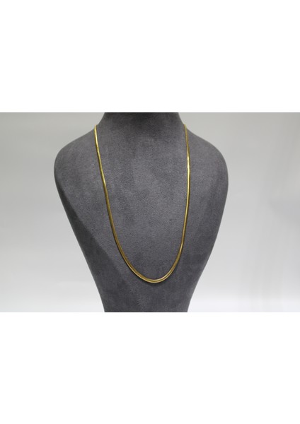 14 Ayar Altın Balık Sırtı Modeli Kolye fiyatları