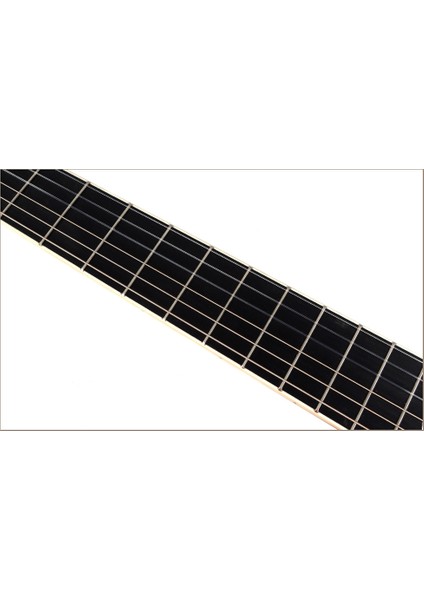 Klasik Gitar GP-C70 N