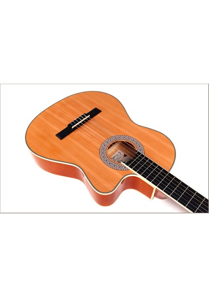 Klasik Gitar GP-C70 N