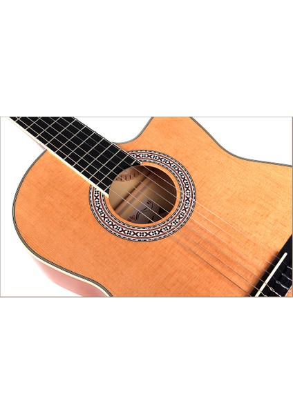 Klasik Gitar GP-C70 N