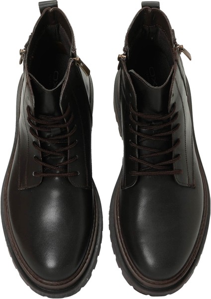 Forza 4pr Kahverengi Erkek Bot