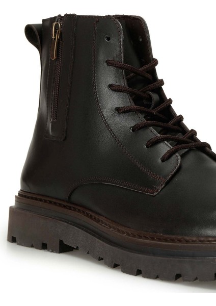 Forza 4pr Kahverengi Erkek Bot