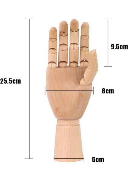 Sağ El Hareketli Eskiz Mankeni-Boyut 25 Cm-Yaratıcılığınızı Canlandırın fiyatları