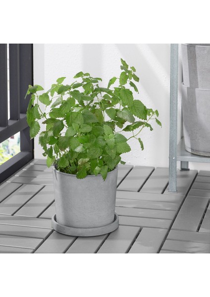 Saksı Altlığı, Açık Gri, 19 cm fiyatları