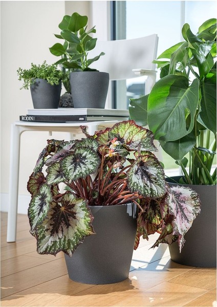 Toprak Saksı, Koyu Gri, 24 cm modelleri