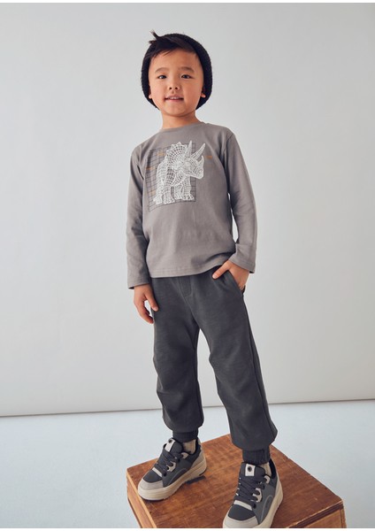 4-10 Yaş Arası Baskılı Uzun Kollu T-Shırt - Gri modelleri