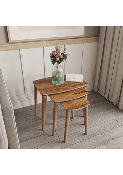 Arvia Amalfi Ceviz Modern 3'lü Zigon Sehpa Takımı fiyatları