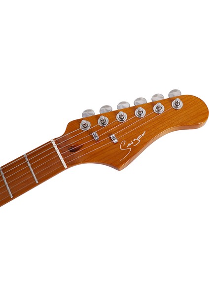 Pro Elektro Gitar L-G2-Pro Db