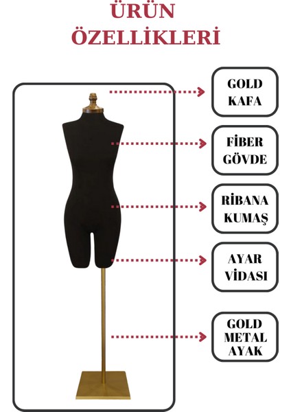 Gold Ayaklı 38 Beden Iğne Batmaz Vitrin ve Fotoğraf Çekimi Için Pantolon Giyebilen Vitrin Mankeni fiyatları