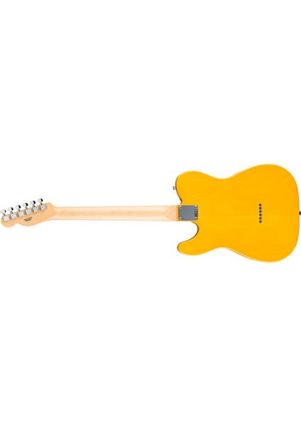 Standard Telecaster Akçaağaç Klavye Butterscotch Blonde Elektro Gitar fiyatları