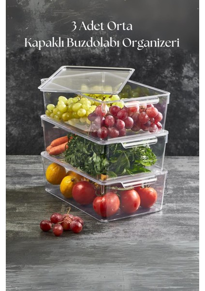 3 Lü Kapaklı Buzdolabı Organizeri & Buzdolabı Düzenleyici 4,5 Lt
