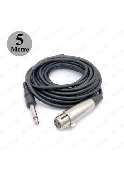 6.35MM Mono Erkek To 3 Pin Xlr Dişi Mikrofon Ses Kablosu 5 Metre fiyatları