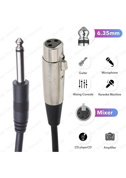 6.35MM Mono Erkek To 3 Pin Xlr Dişi Mikrofon Ses Kablosu 5 Metre modelleri