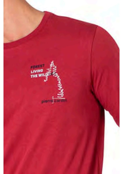 6103 Erkek Bordo Uzun Kollu Bisiklet Yaka Pijama Takımı fiyatları