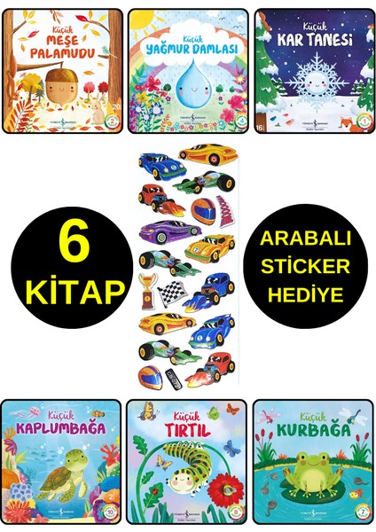 Arabalı Sticker Hediyeli - Okul Öncesi Resimli Kitaplar - Meşe Palamudu - Kar Tanesi - Kurbağa ...