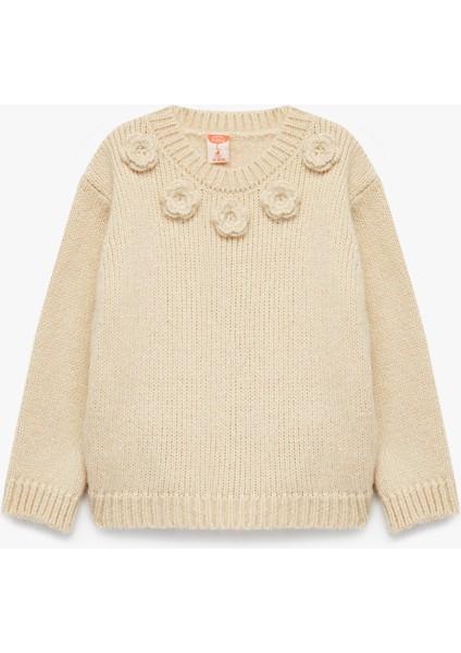 Aplike Gül Detaylı Uzun Kollu Bisiklet Yaka Triko Kazak