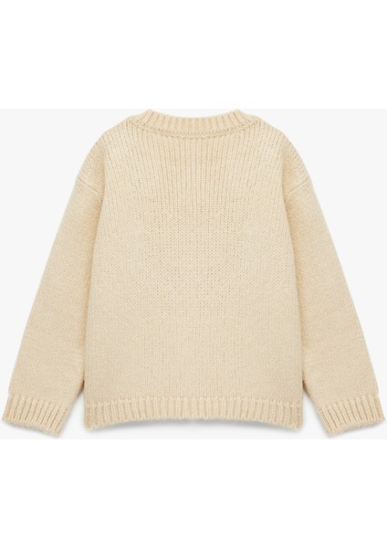 Aplike Gül Detaylı Uzun Kollu Bisiklet Yaka Triko Kazak fiyatları