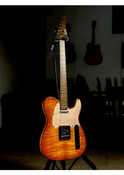 PRO TELE ELEKTRO GİTAR S-G27 HB modelleri