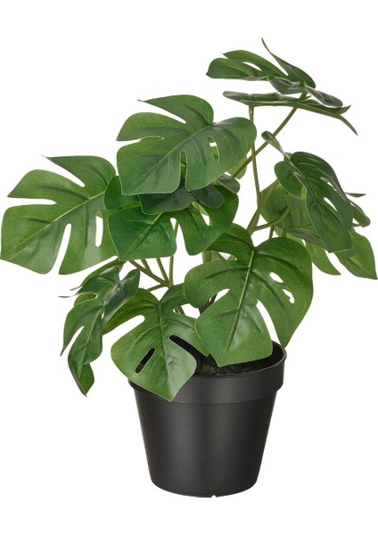 Yapay Bitki, Yeşil, 12 Cm, Monstera