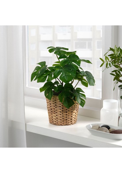 Yapay Bitki, Yeşil, 12 Cm, Monstera fiyatları