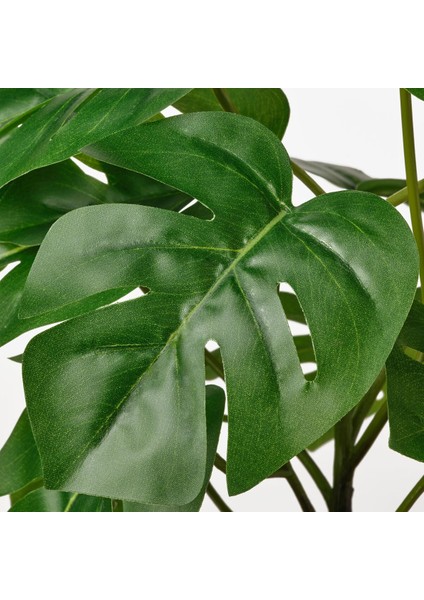 Yapay Bitki, Yeşil, 12 Cm, Monstera modelleri