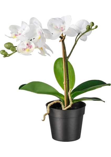 Yapay Bitki, Beyaz, 9 Cm, Orkide