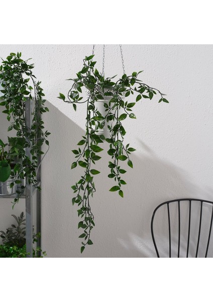 Yapay Bitki, Yeşil, 9 Cm, Sarmaşık fiyatları