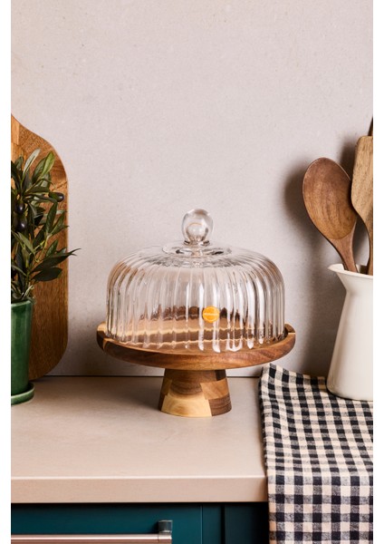 Lion Akasya Standlı Cam Kek Fanusu Ayaklı 22 cm indirimleri