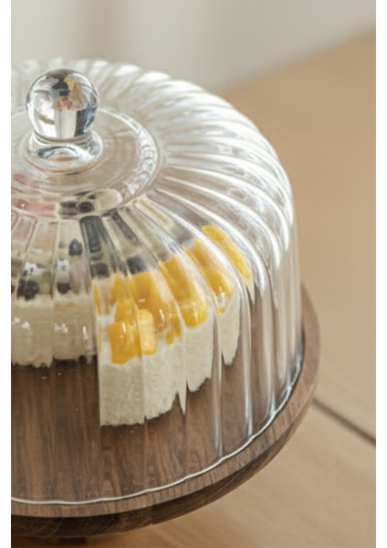 Lion Akasya Standlı Cam Kek Fanusu Ayaklı 22 cm