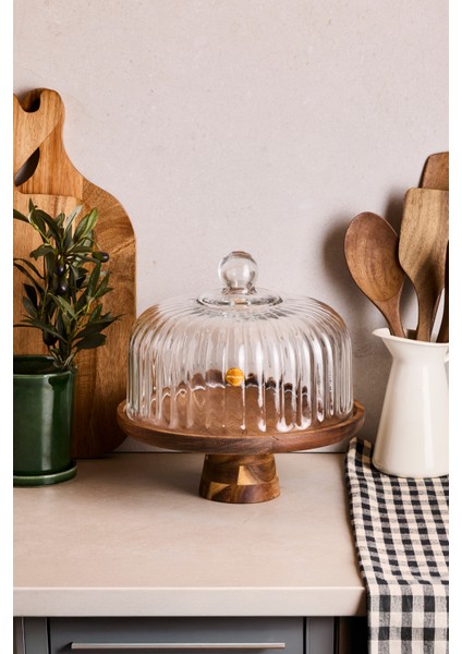 Lion Akasya Standlı Cam Kek Fanusu Ayaklı 25 cm Orta Boy indirimleri