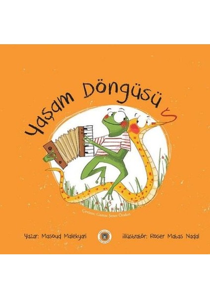 Yaşam Döngüsü