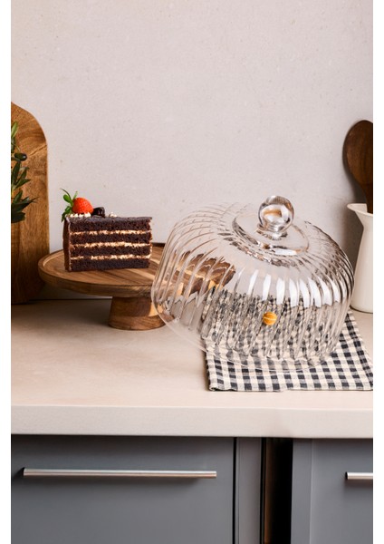 Lion Akasya Standlı Cam Kek Fanusu Ayaklı 28 cm Dev Boy