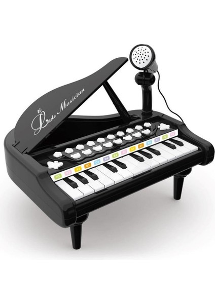 Nessiworld BAO-1505A Mikrofonlu Mini Piano 24 Tuş Mp3 Çalar indirimleri