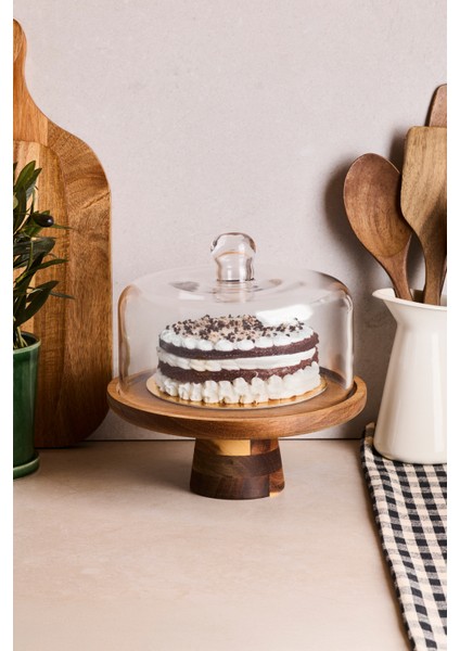 Leo Akasya Standlı Cam Kek Fanusu Ayaklı 22 cm indirimleri