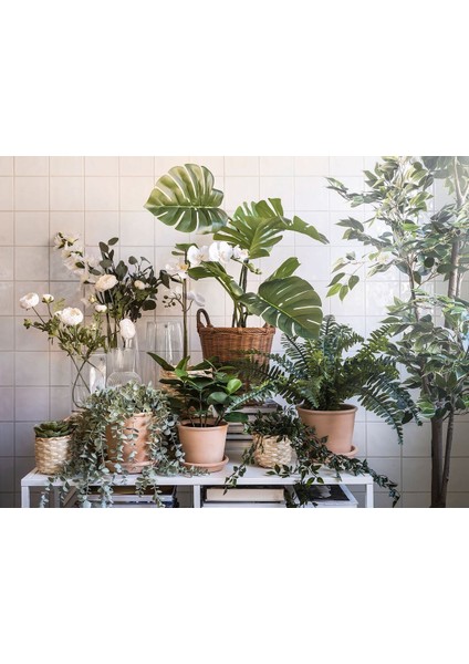 Yapay Bitki, Yeşil, 9 Cm, Okaliptüs, Iç/dış Mekan fırsatları